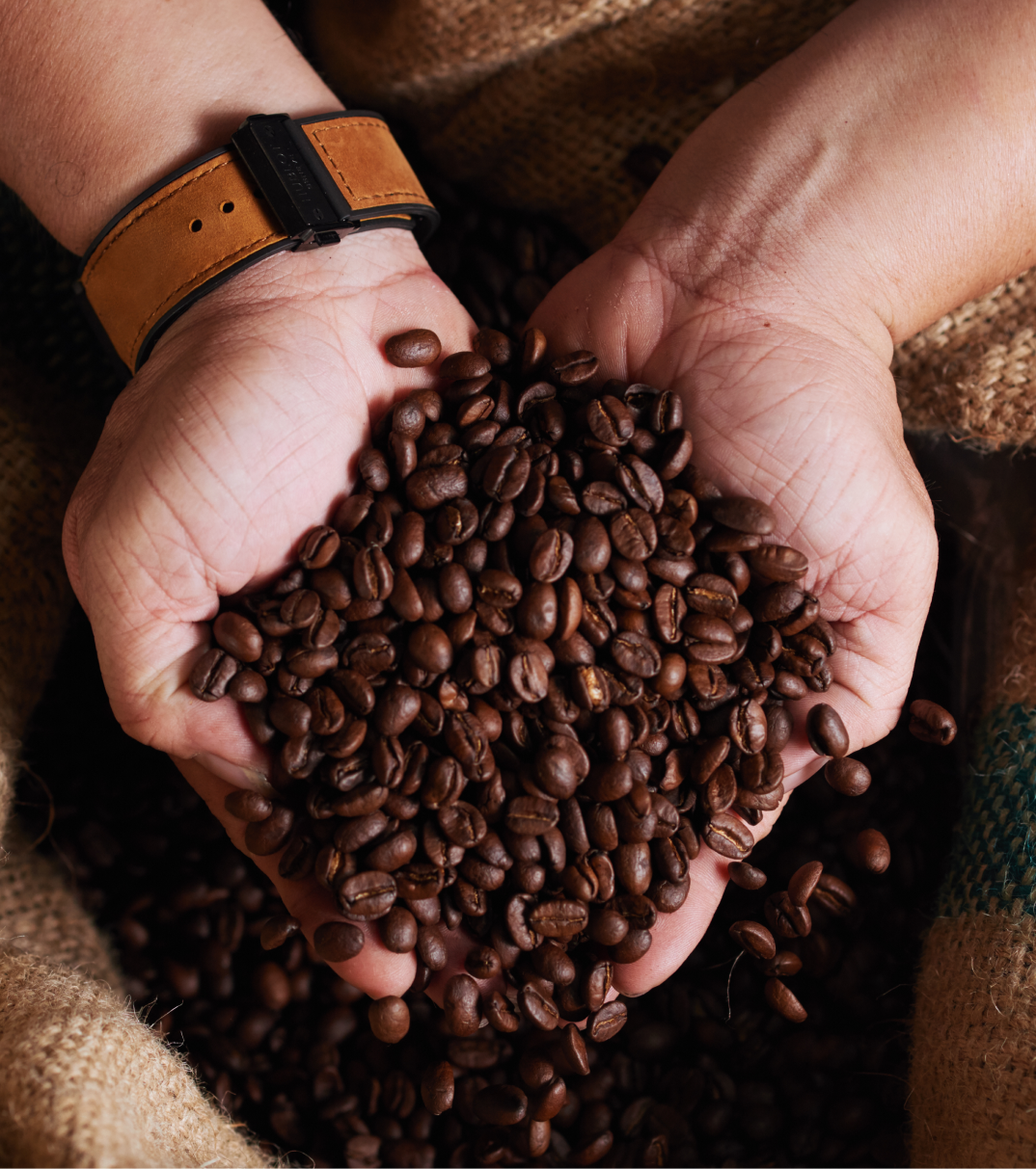 Coffee Lifestyle
